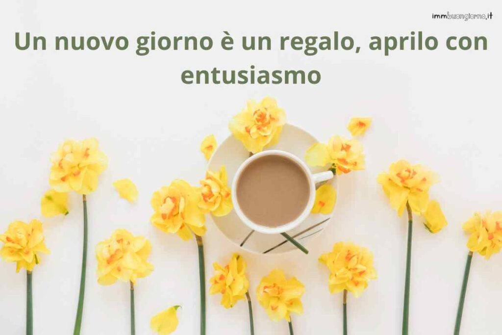 Buongiorno Domenica 18 Febbraio 2024 Buongiorno Buona domenica 18 febbraio 2024: frasi e immagini bellissime